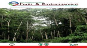 Publication du Volume 12 de la Revue Scientifique et Technique Forêt et Environnement du Bassin du Congo