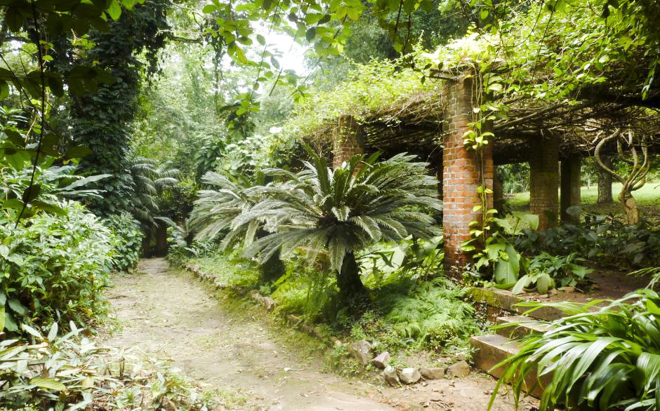 Kinshasa : L-Union européenne réhabilite le jardin botanique de Kisantu