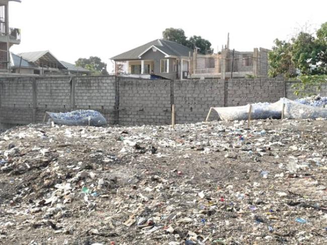 PERTE DE LA BIODIVERSITE A LEMBA : LE CRI D-ALARME FACE A LA DISPARITION DU « POUMON VERT » DE LA COMMUNE