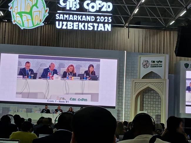 Environnement : LANCEMENT DES TRAVAUX DE LA 20ᵉ CONFERENCE DES PARTIES A LA CONVENTION CITES